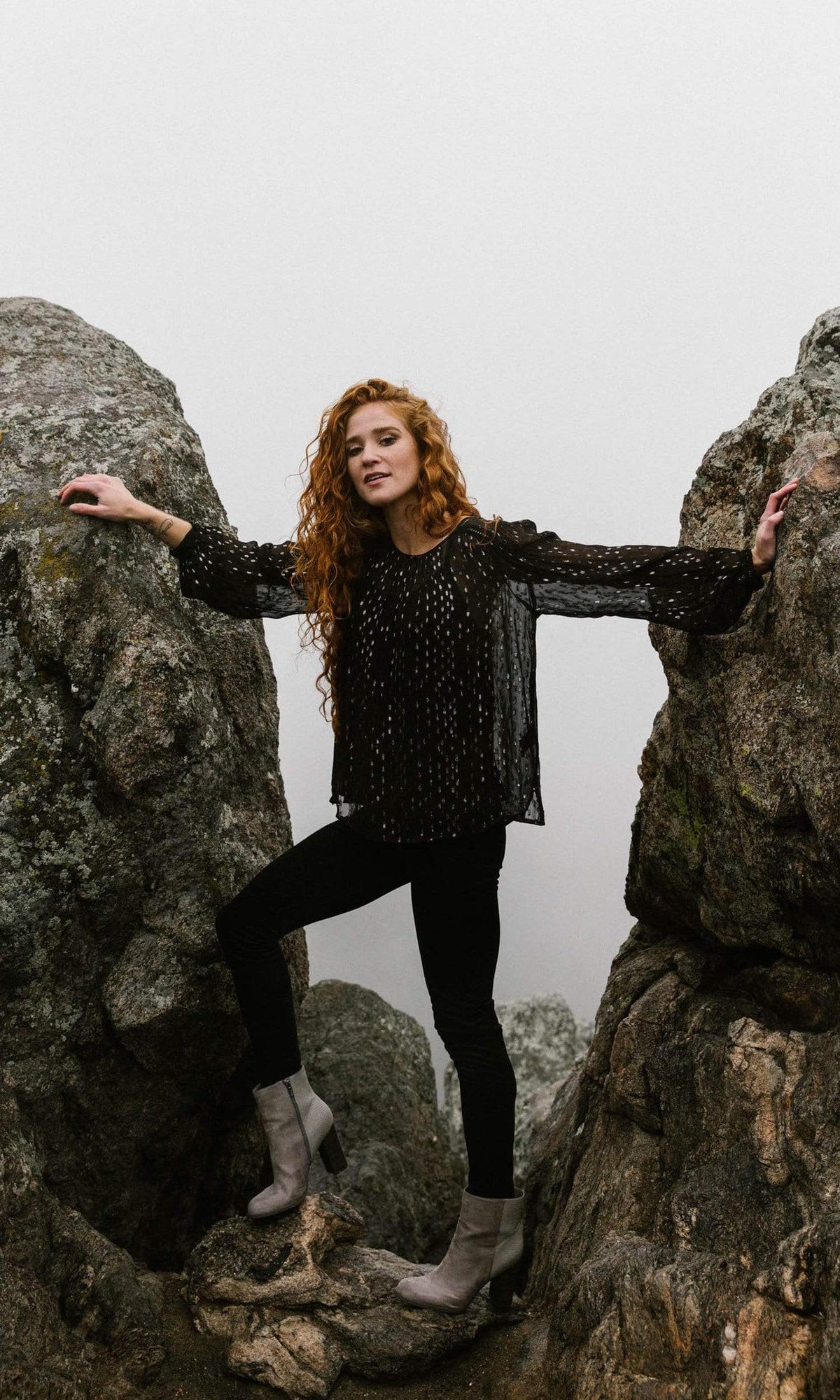 Velvet by Graham &amp; Spencer Roma Lurex Chiffon Sheer Top