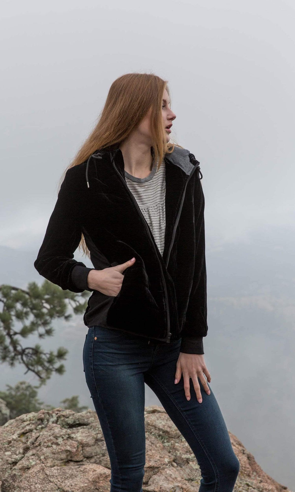 Velvet by Graham &amp; Spencer Caily Velvet Hooded Puffer Jacket