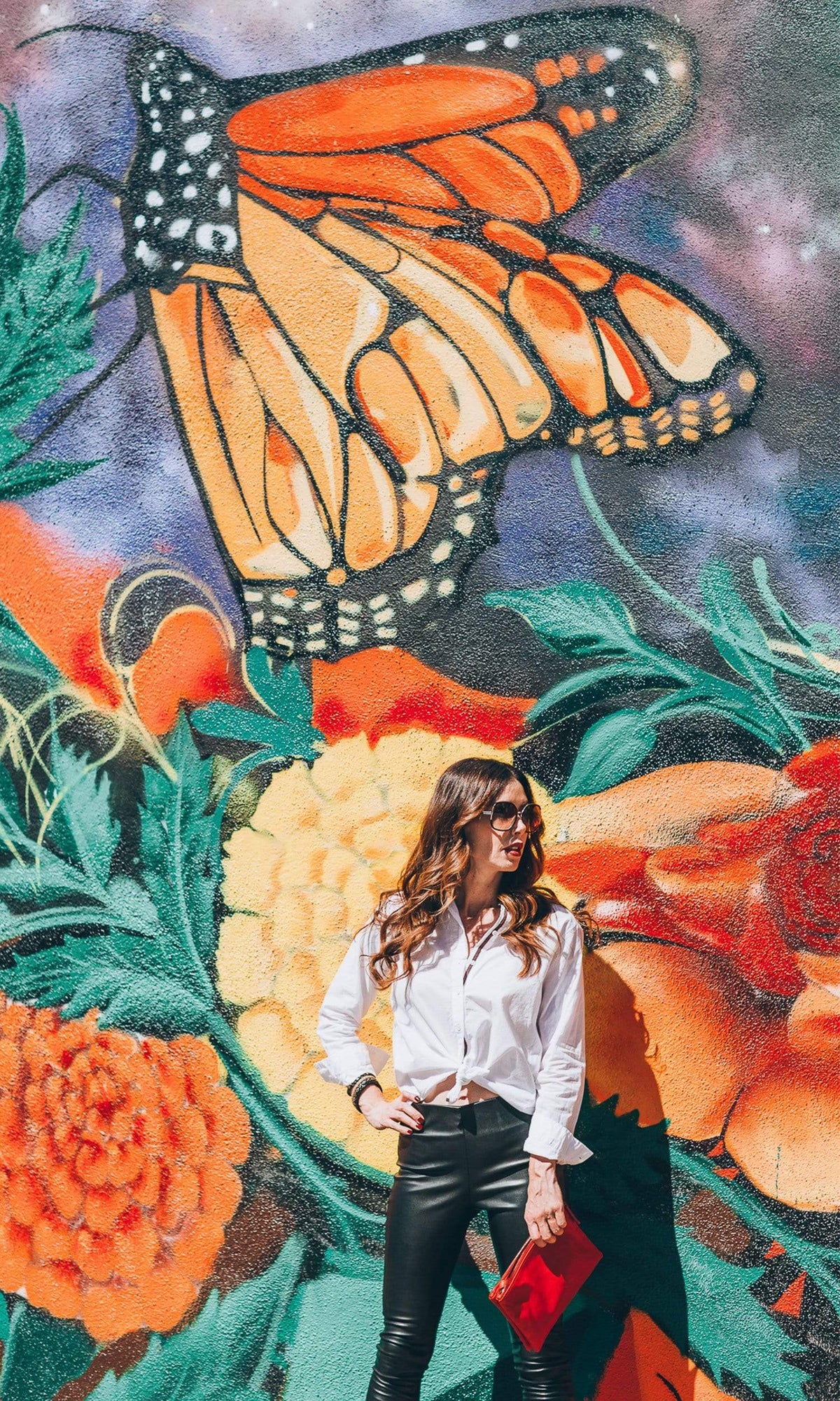 Velvet by Graham &amp; Spencer Candra Cotton Button Up Top