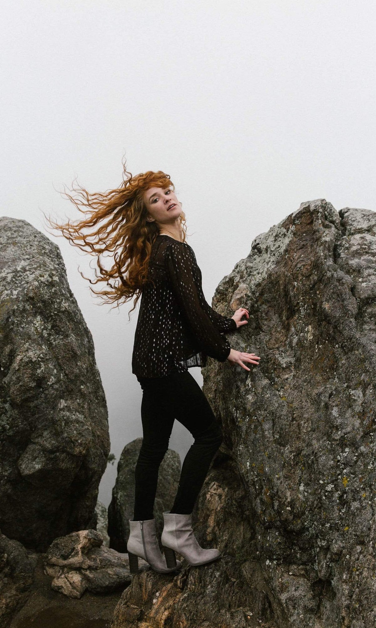 Velvet by Graham &amp; Spencer Roma Lurex Chiffon Sheer Top