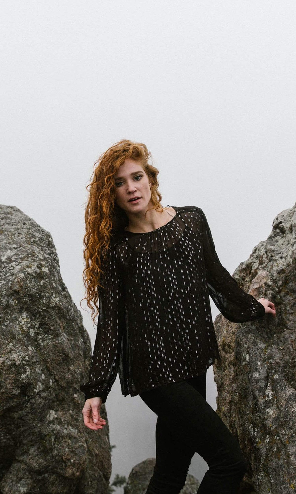 Velvet by Graham &amp; Spencer Roma Lurex Chiffon Sheer Top