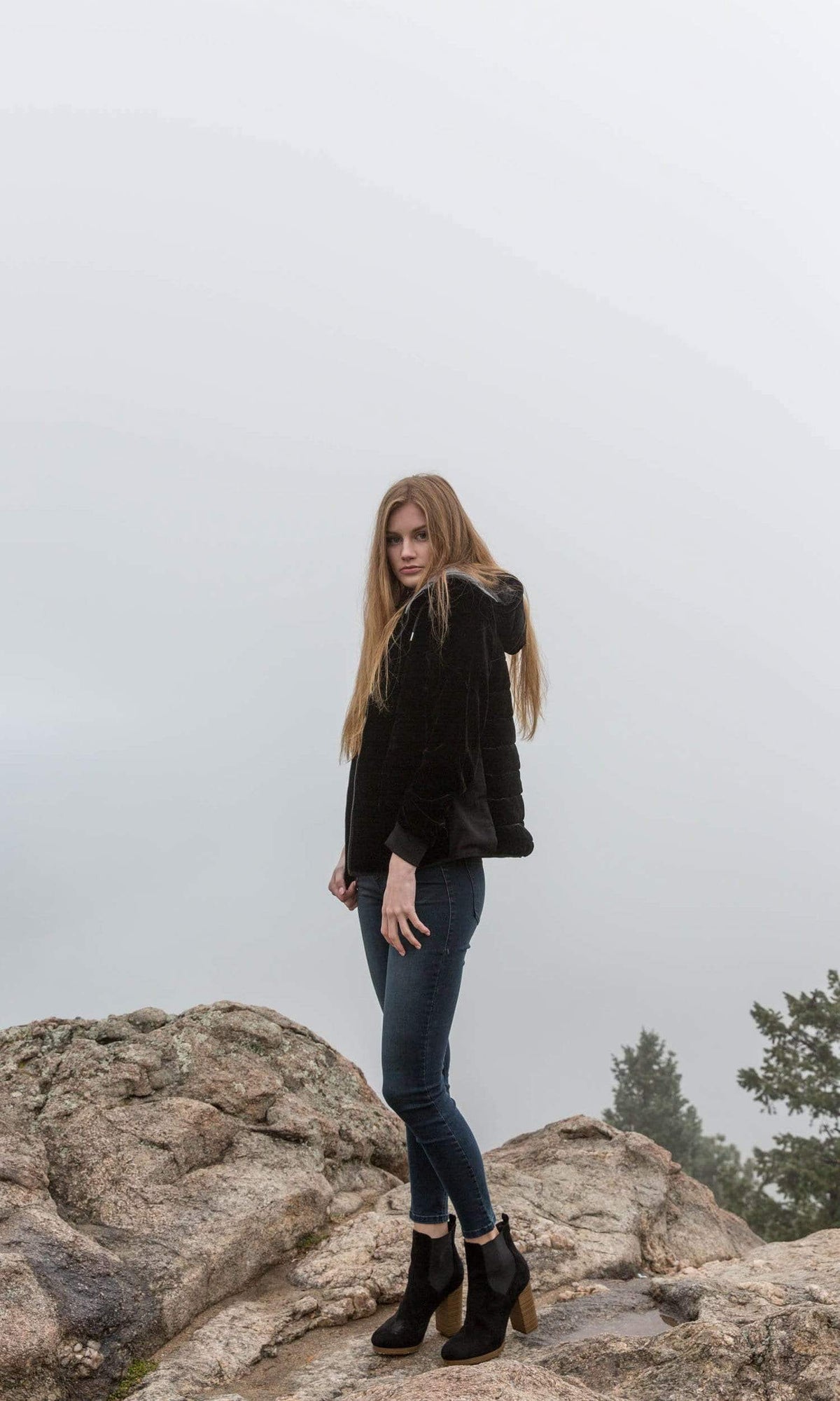 Velvet by Graham &amp; Spencer Caily Velvet Hooded Puffer Jacket