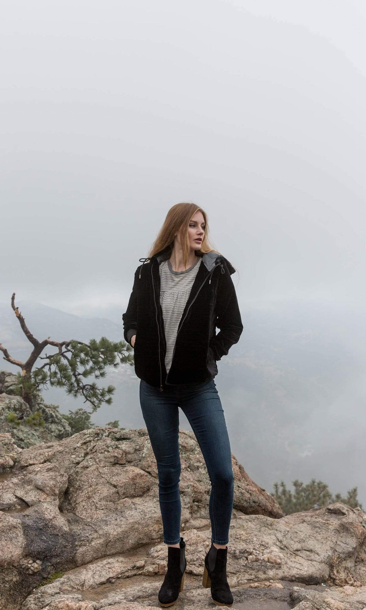 Velvet by Graham &amp; Spencer Caily Velvet Hooded Puffer Jacket